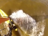 screen-shot-2013-09-29-at-19-20-44-copy